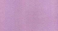 ���� (Miss) - ���� 21, ��������� ���� (Miss)
