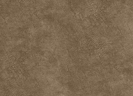 ���� (�������) - ���� 1223-03, ��������� ���� (�������)